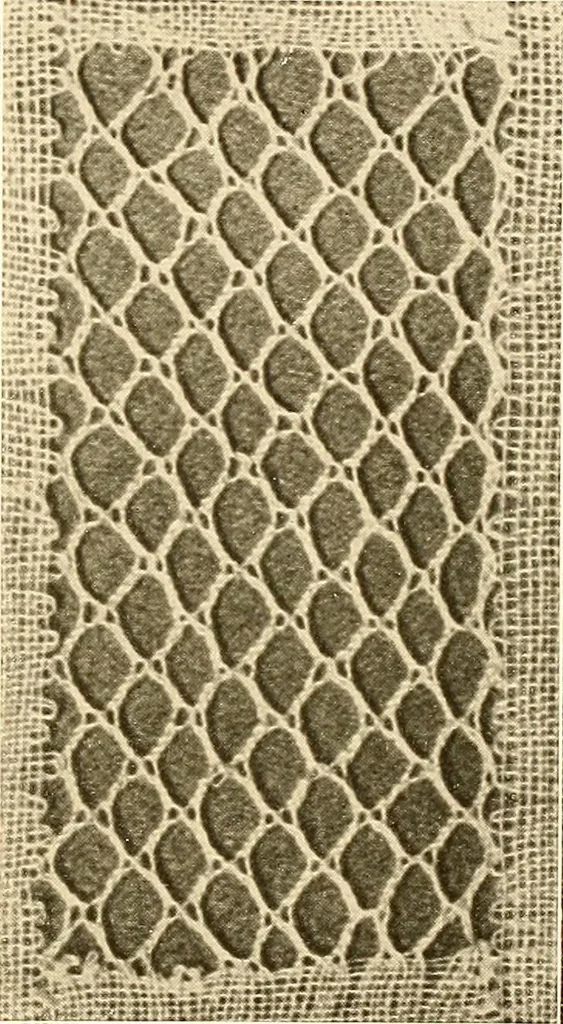 An illustration from A lace guide for makers and collectors; with a bibliography and five-language nomenclature, profusely illus. with halftone plates and key designs, 1920, leaf 242