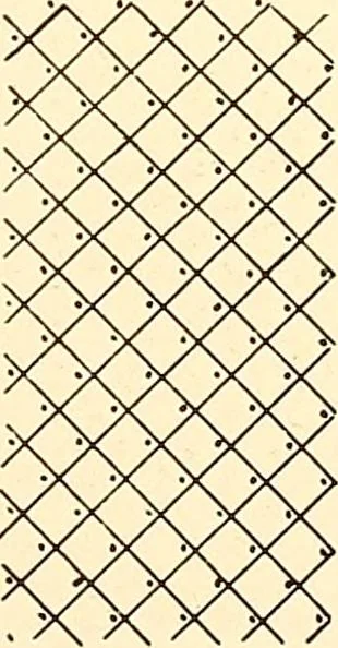 An illustration from A lace guide for makers and collectors; with a bibliography and five-language nomenclature, profusely illus. with halftone plates and key designs, 1920, leaf 242