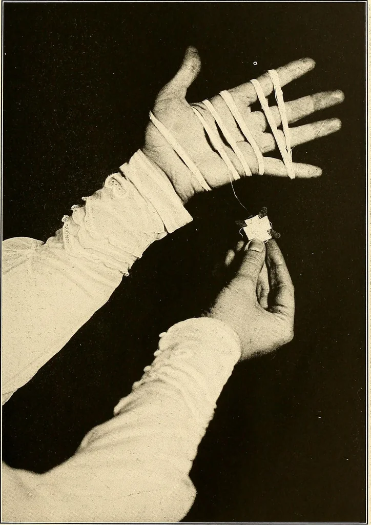An illustration from A lace guide for makers and collectors; with a bibliography and five-language nomenclature, profusely illus. with halftone plates and key designs, 1920, leaf 34