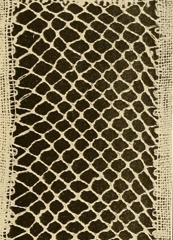 An illustration from A lace guide for makers and collectors; with a bibliography and five-language nomenclature, profusely illus. with halftone plates and key designs, 1920, leaf 76