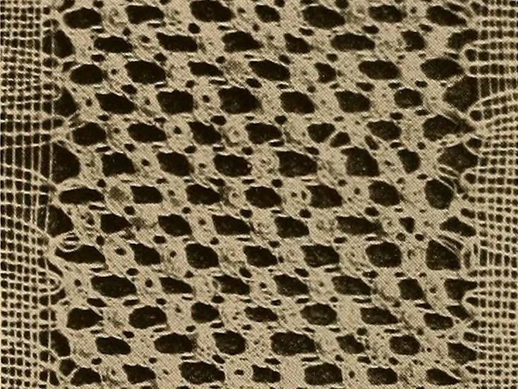 An illustration from A lace guide for makers and collectors; with a bibliography and five-language nomenclature, profusely illus. with halftone plates and key designs, 1920, leaf 93