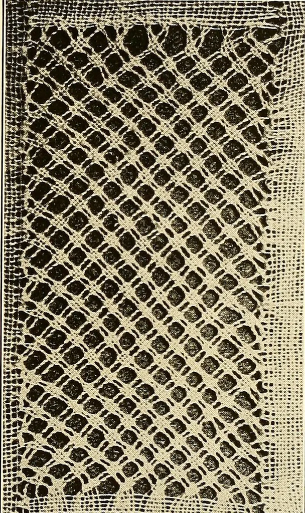 An illustration from A lace guide for makers and collectors; with a bibliography and five-language nomenclature, profusely illus. with halftone plates and key designs, 1920, leaf 96