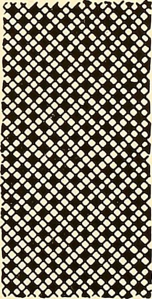 An illustration from A lace guide for makers and collectors; with a bibliography and five-language nomenclature, profusely illus. with halftone plates and key designs, 1920, leaf 96