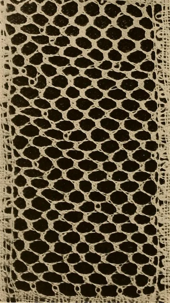 An illustration from A lace guide for makers and collectors; with a bibliography and five-language nomenclature, profusely illus. with halftone plates and key designs, 1920, leaf 97