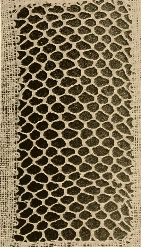 An illustration from A lace guide for makers and collectors; with a bibliography and five-language nomenclature, profusely illus. with halftone plates and key designs, 1920, leaf 99