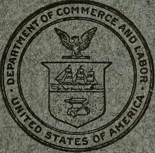 An illustration from Lace industry in England and France, 1909, leaf 6