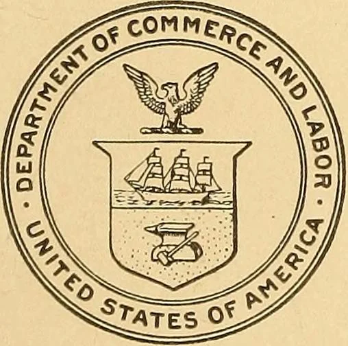 An illustration from Lace industry in England and France, 1909, leaf 8