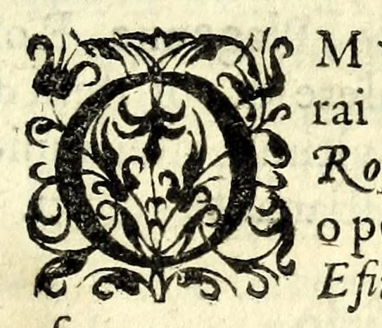 An illustration from La centavra : svggetto diviso in commedia, pastorale, e tragedia, 1622, leaf 101