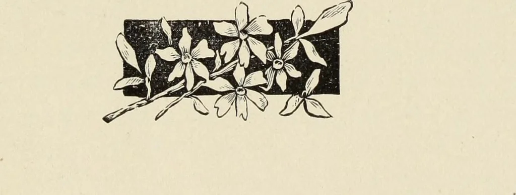An illustration from La céramique au pays de Liège : étude rétrospective, 1906, leaf 80