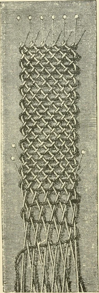 An illustration from Lace work, 1896, leaf 21