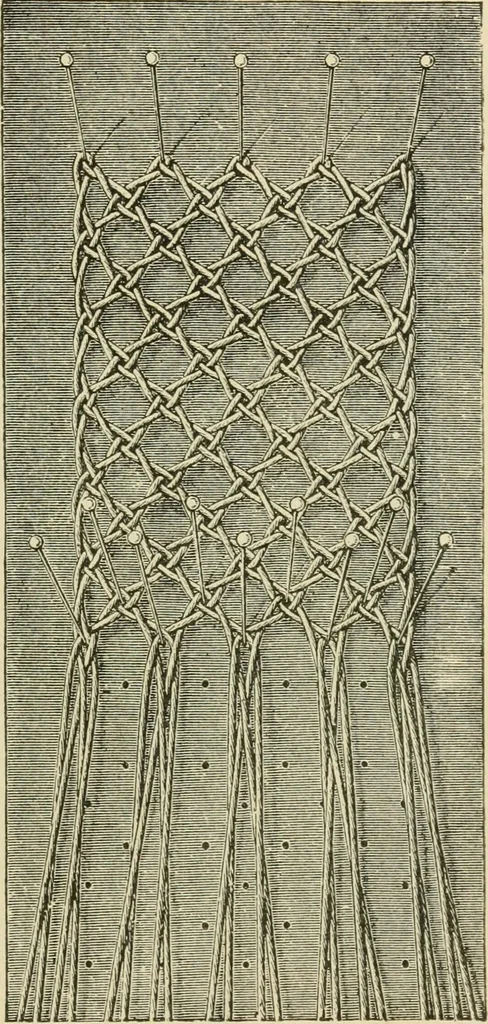 An illustration from Lace work, 1896, leaf 22
