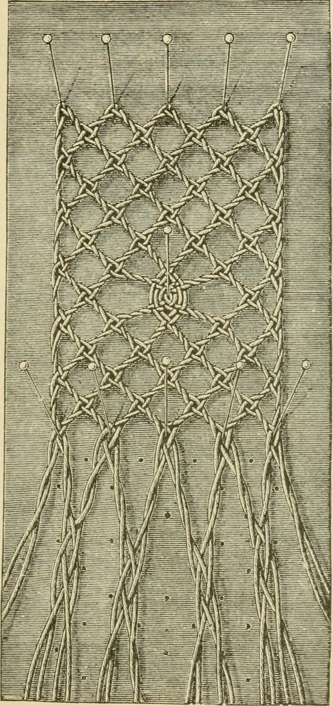 An illustration from Lace work, 1896, leaf 24