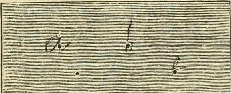 An illustration from Lace work, 1896, leaf 30