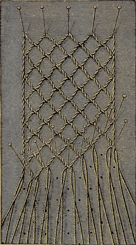 An illustration from Lace work : a handbook, illustrated, 1896, leaf 17