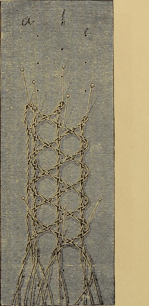 An illustration from Lace work : a handbook, illustrated, 1896, leaf 22