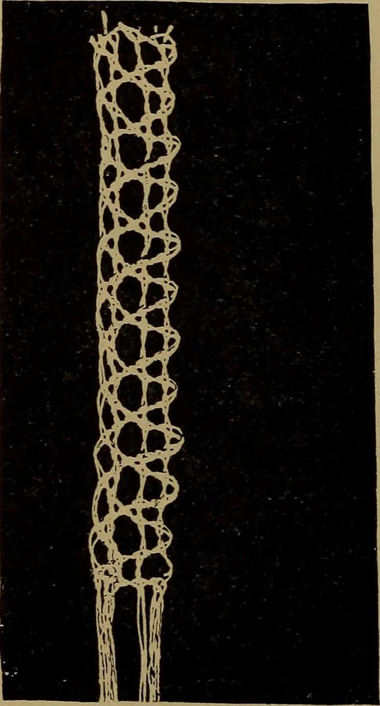 An illustration from Lace work : a handbook, illustrated, 1896, leaf 25