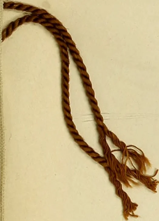 An illustration from Lace work in the field of decoration, 1900, leaf 2