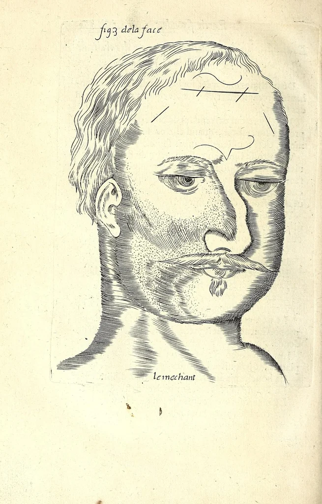 An illustration from La chiromance, la physionomie, et la geomance : auec la signification des nombres, & l'vsage de la roue de Pytagore, 1663, leaf 186