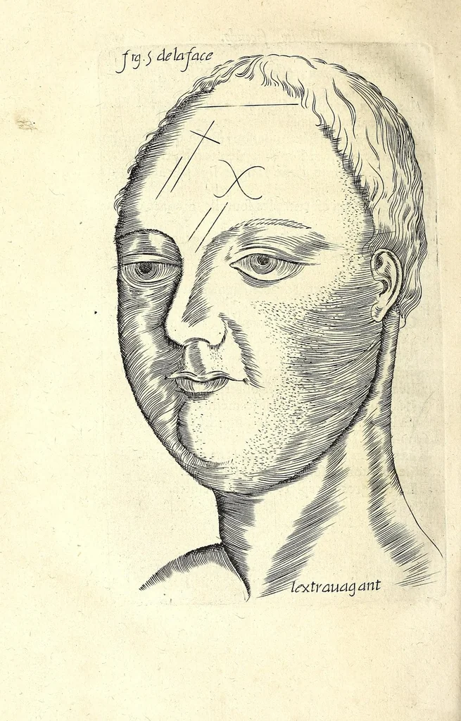 An illustration from La chiromance, la physionomie, et la geomance : auec la signification des nombres, & l'vsage de la roue de Pytagore, 1663, leaf 190