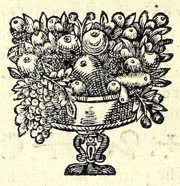 An illustration from La chiromance, la physionomie, et la geomance : auec la signification des nombres, & l'vsage de la roue de Pytagore, 1663, leaf 56