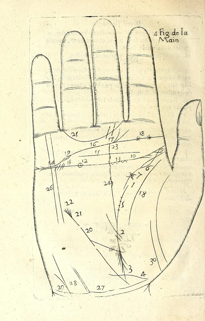 An illustration from La chiromance, la physionomie, et la geomance : auec la signification des nombres, & l'vsage de la roue de Pytagore, 1663, leaf 80