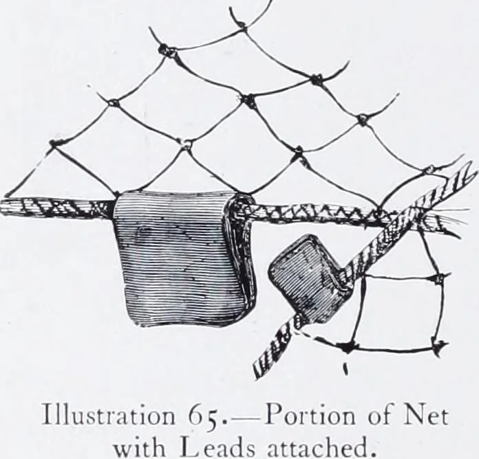 An illustration from Lacis, practical instructions in filet brodé or darning on net;, 1909, leaf 116