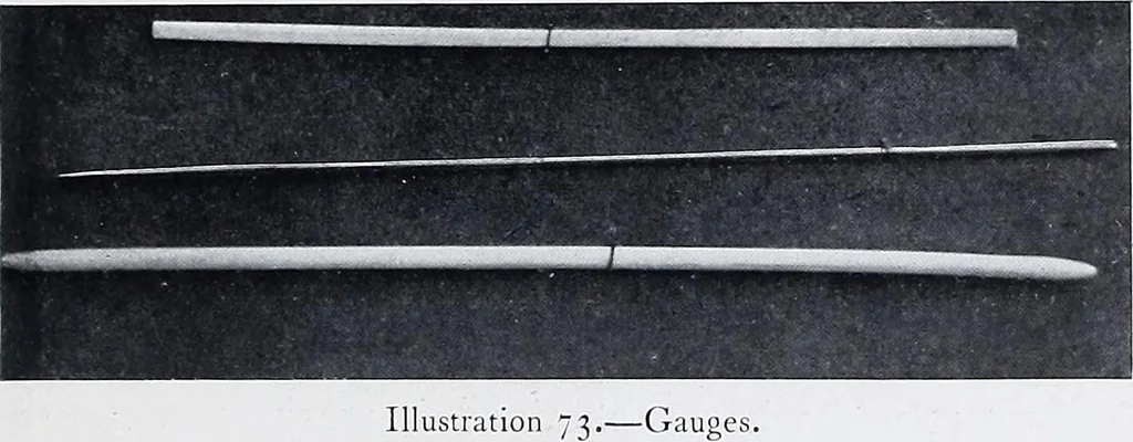 An illustration from Lacis, practical instructions in filet brodé or darning on net;, 1909, leaf 129