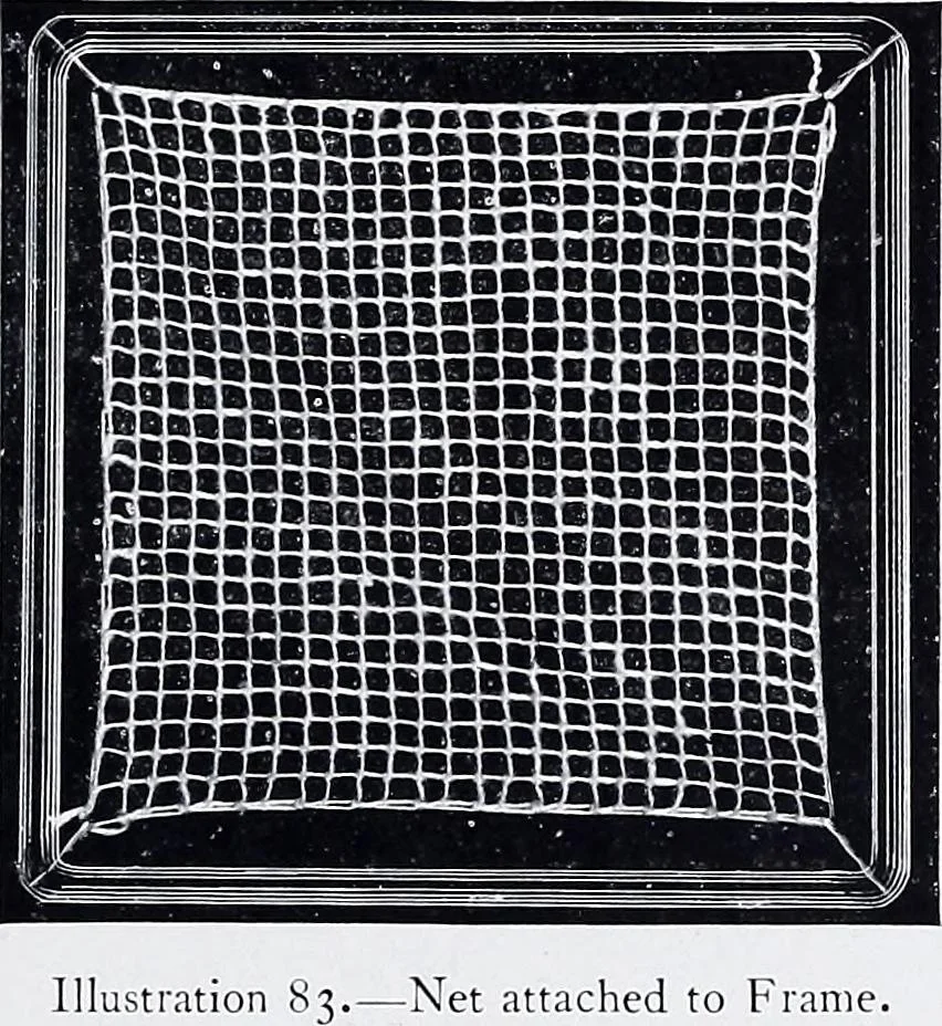 An illustration from Lacis, practical instructions in filet brodé or darning on net;, 1909, leaf 149