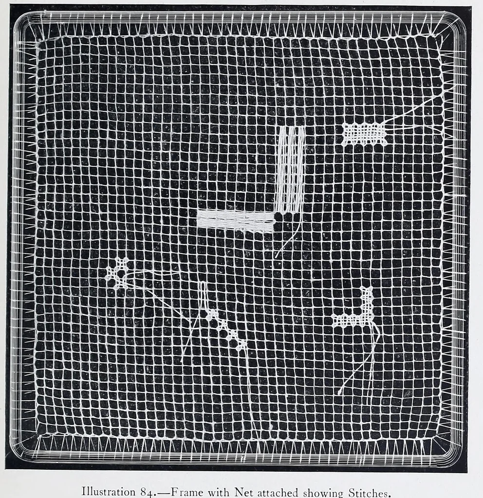An illustration from Lacis, practical instructions in filet brodé or darning on net;, 1909, leaf 151