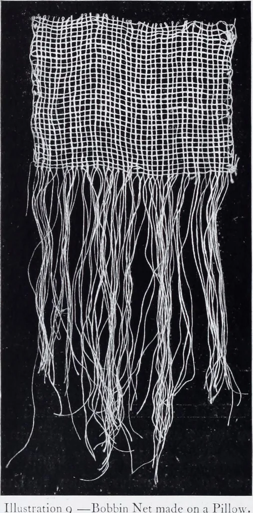 An illustration from Lacis, practical instructions in filet brodé or darning on net;, 1909, leaf 58