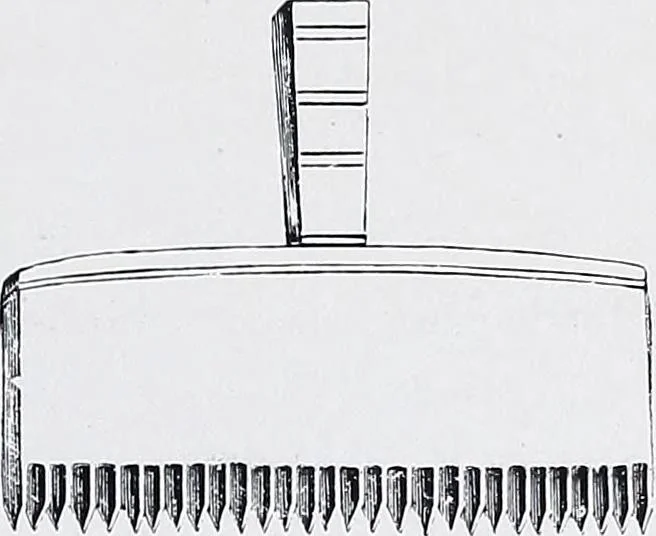 An illustration from Lacis, practical instructions in filet brodé or darning on net;, 1909, leaf 87