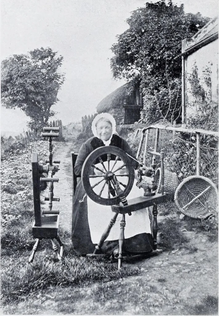 An illustration from Lacis, practical instructions in filet brodé or darning on net;, 1909, leaf 94