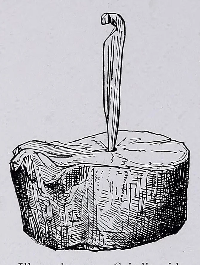 An illustration from Lacis, practical instructions in filet brodé or darning on net:, 1909, leaf 104