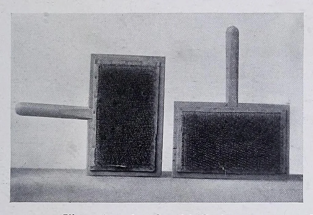 An illustration from Lacis, practical instructions in filet brodé or darning on net:, 1909, leaf 89