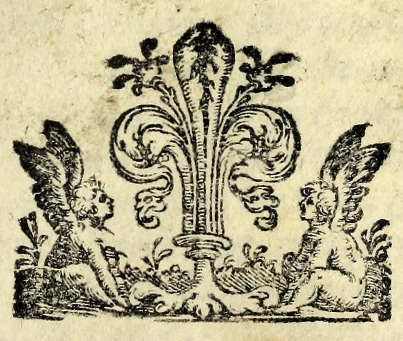 An illustration from La cofanaria : commedia, 1593, leaf 3