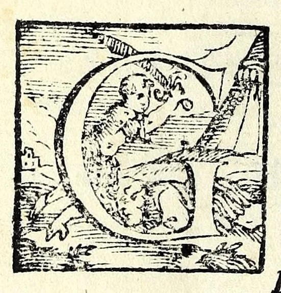 An illustration from La cofanaria : commedia, 1593, leaf 66