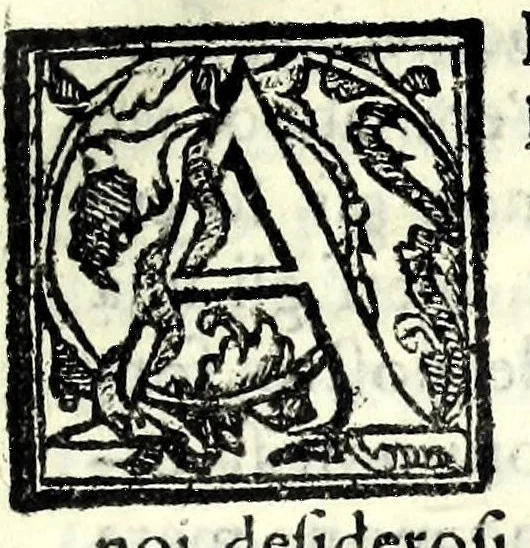 An illustration from La cognata : comedia facetissima et nova, 1583, leaf 11