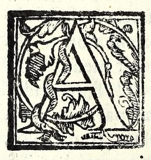 An illustration from La cognata : comedia facetissima et nova, 1583, leaf 40