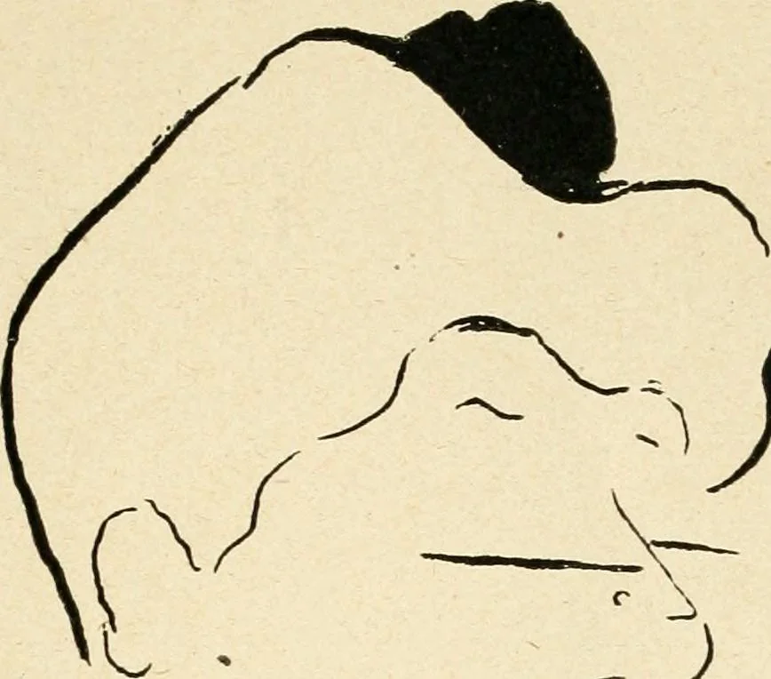 An illustration from La comédie-francaise [1905-1906]; dessins. Avec la préf. de Robert de Montesquiou, 1906, leaf 122