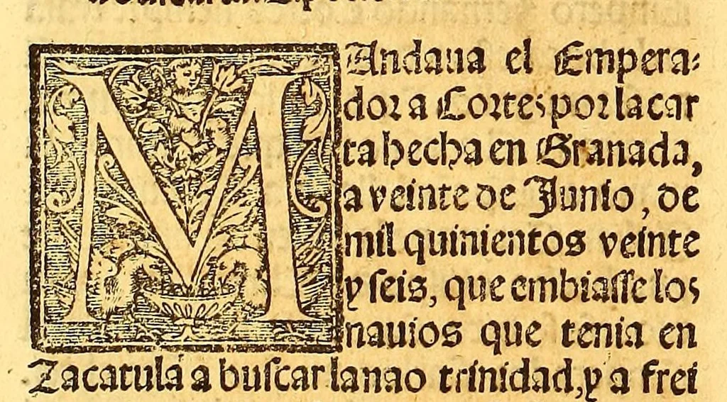An illustration from La conquista de Mexico. 1552, 1553, leaf 228