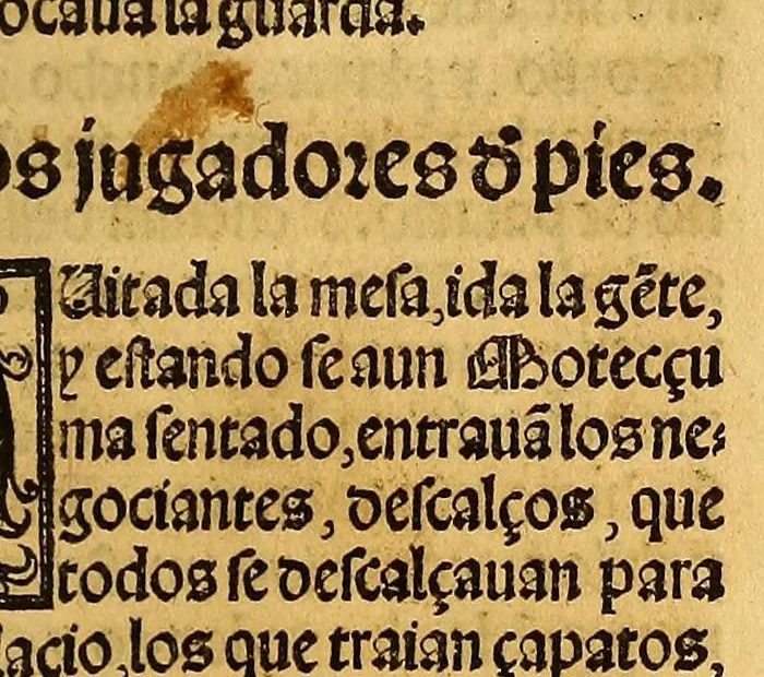 An illustration from La conquista de Mexico. 1552, 1553, leaf 87