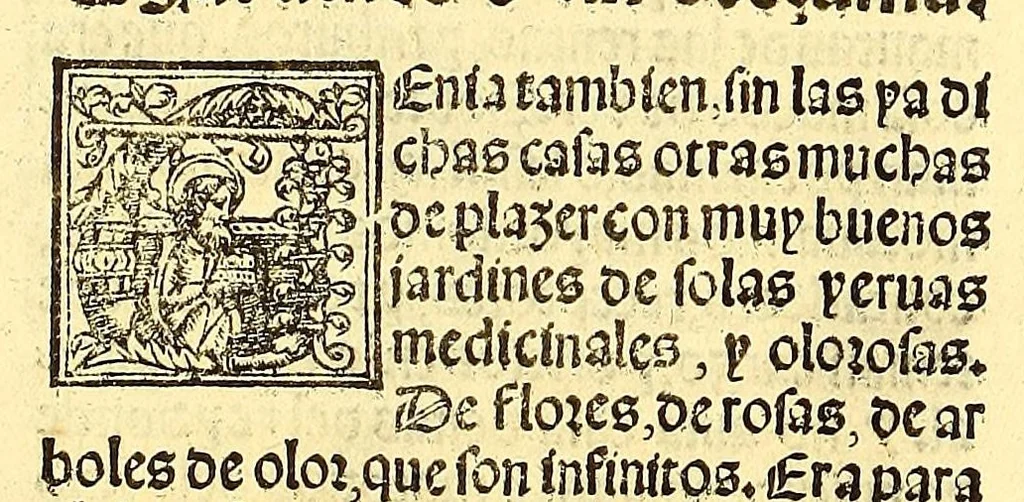 An illustration from La conquista de Mexico. 1552, 1553, leaf 92