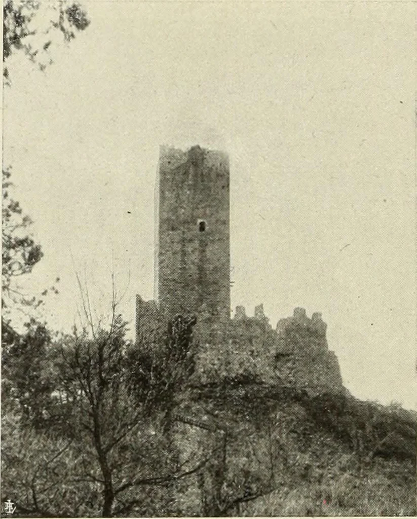 An illustration from La conservazione dei monumenti della Lombardia dal 1 luglio 1900 al 31 dicembre 1906, 1908, leaf 207