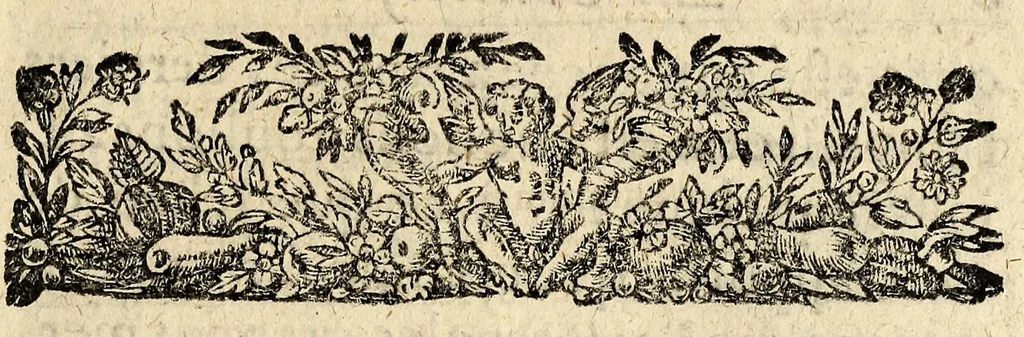 An illustration from La conversion des sauvages qui ont esté baptizés en la Nouvelle France, cette annee 1610. : avec vn bref recit du voyage du sieur de Poutrincourt, 1610, leaf 13