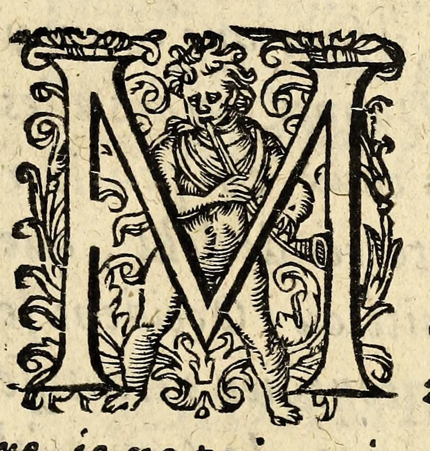 An illustration from La conversion des sauvages qui ont esté baptizés en la Nouvelle France, cette annee 1610. : avec vn bref recit du voyage du sieur de Poutrincourt, 1610, leaf 9
