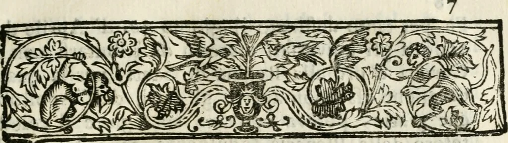 An illustration from La coronatione della miracolosissima imagine di Maria Vergine detta del Sasso, nella chiesa di S. Agostino di Lucca : con una breve narratione della solenne festa fatta nella medesima chiesa per la canonizatione di S. Gio. da S. Facondo e la vita elogiastica dell' istesso santo, 1693, leaf 12
