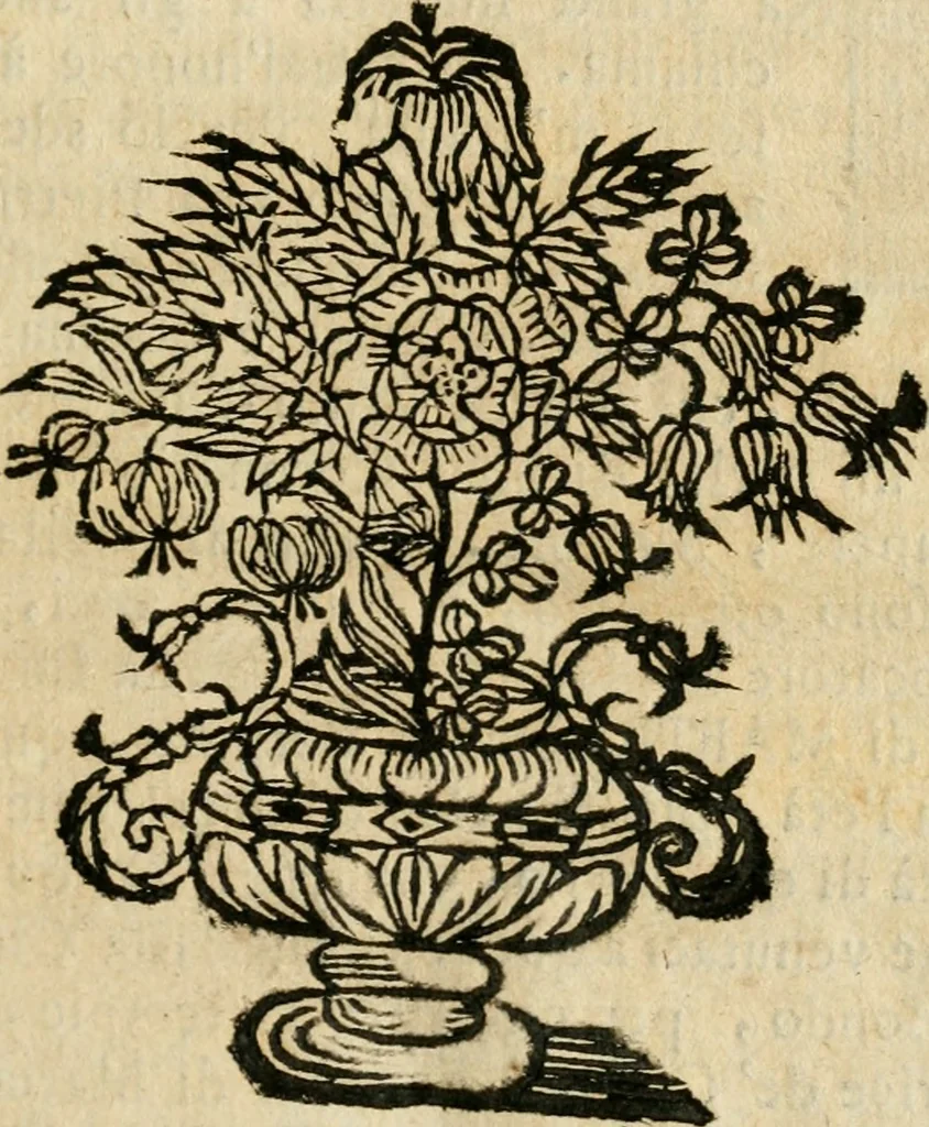 An illustration from La coronatione della miracolosissima imagine di Maria Vergine detta del Sasso, nella chiesa di S. Agostino di Lucca : con una breve narratione della solenne festa fatta nella medesima chiesa per la canonizatione di S. Gio. da S. Facondo e la vita elogiastica dell' istesso santo, 1693, leaf 32