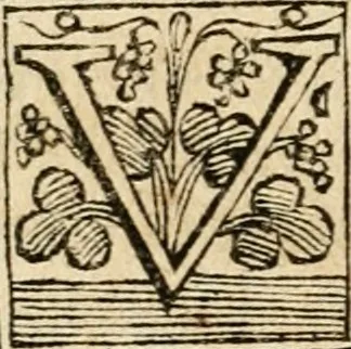 An illustration from La coronatione della miracolosissima imagine di Maria Vergine detta del Sasso, nella chiesa di S. Agostino di Lucca : con una breve narratione della solenne festa fatta nella medesima chiesa per la canonizatione di S. Gio. da S. Facondo e la vita elogiastica dell' istesso santo, 1693, leaf 33