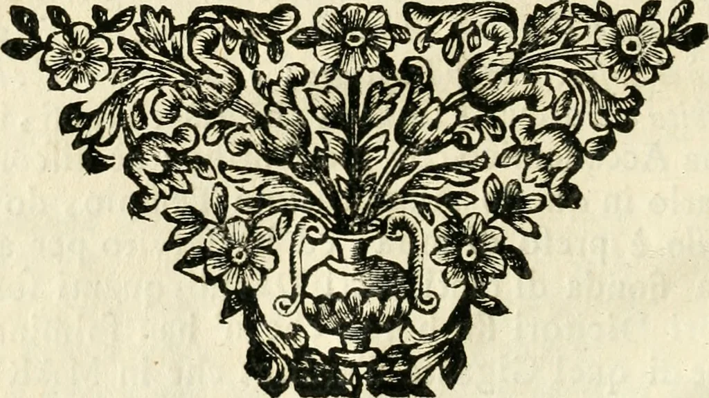 An illustration from La coronatione della miracolosissima imagine di Maria Vergine detta del Sasso, nella chiesa di S. Agostino di Lucca : con una breve narratione della solenne festa fatta nella medesima chiesa per la canonizatione di S. Gio. da S. Facondo e la vita elogiastica dell' istesso santo, 1693, leaf 37