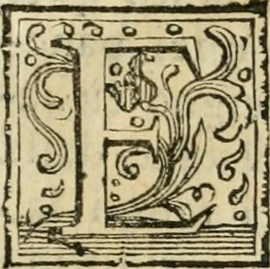 An illustration from La coronatione della miracolosissima imagine di Maria Vergine detta del Sasso, nella chiesa di S. Agostino di Lucca : con una breve narratione della solenne festa fatta nella medesima chiesa per la canonizatione di S. Gio. da S. Facondo e la vita elogiastica dell' istesso santo, 1693, leaf 46